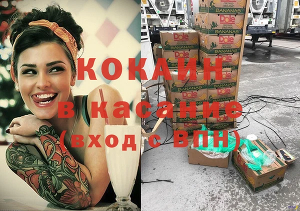 эйфоретик Бородино