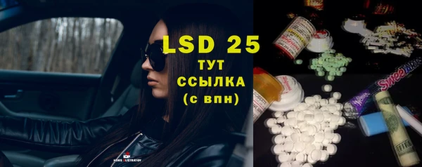эйфоретик Бородино