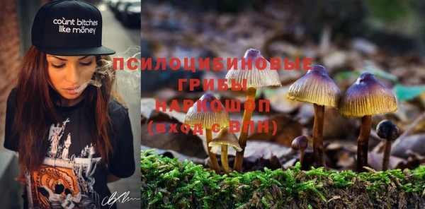 ALPHA PVP Бугульма