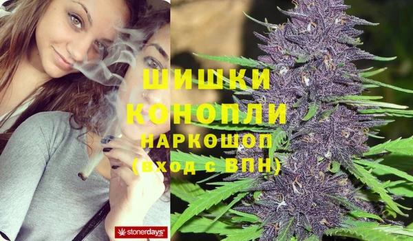 эйфоретик Бородино