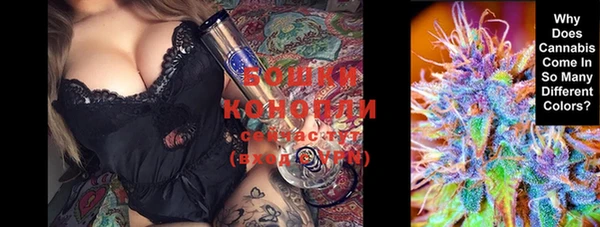 эйфоретик Бородино