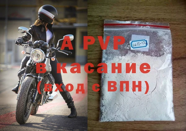 эйфоретик Бородино