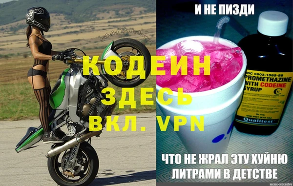 эйфоретик Бородино