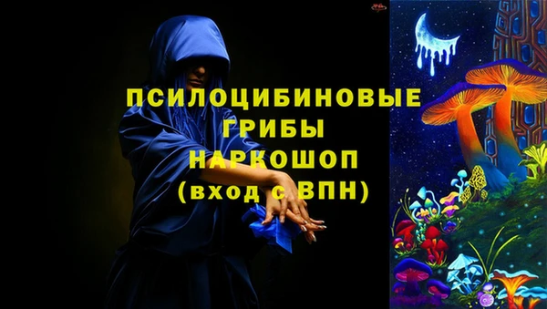 эйфоретик Бородино