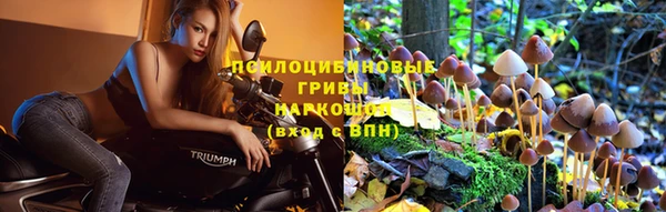 ГАЛЛЮЦИНОГЕННЫЕ ГРИБЫ Бронницы
