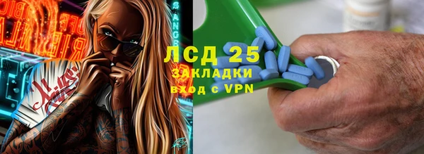 эйфоретик Бородино