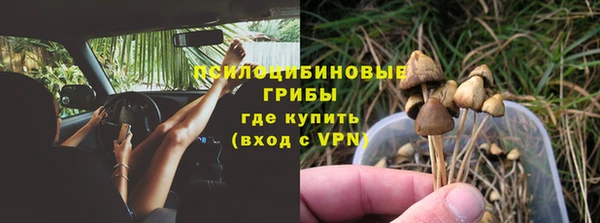 эйфоретик Бородино