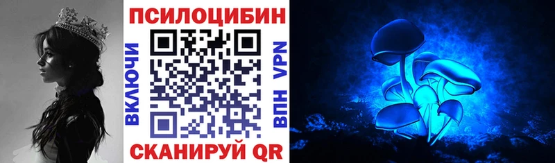 наркотики Южа это официальный сайт Псилоцибиновые грибы мицелий