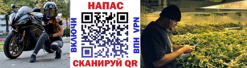 Шишки марихуана ГИДРОПОН  Южа 